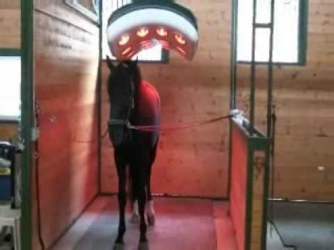 Vidéo