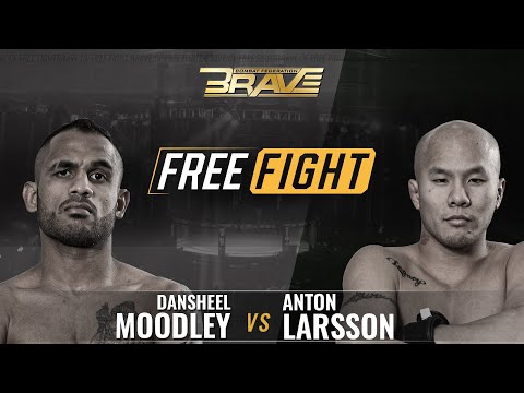 Dansheel Moodley vs Anton Larsson full fight
