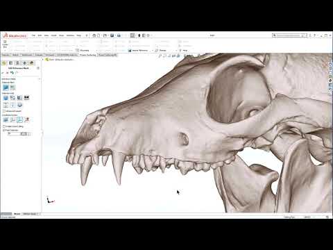 Reverse Engineering Real World Scans