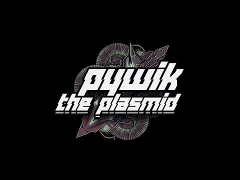 PyWiK The Plasmid -  Electronic Parasites 2012 live extract
