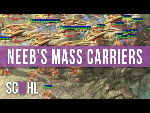 Neeb's MASS Carriers - IEM Gyeonggi 2016 Qualifier