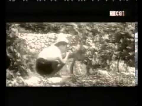 Mali voz relacija Virpazar - Bar,dokumentarni film