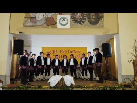 zoro plava MPS Baje ivanovac