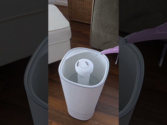 Video teaser per Ecofort ecoQ HumidAir U400+ Review – Stefanias Test vom Luftbefeuchter