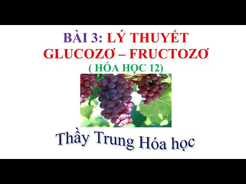 O nível de glicose e frutos |