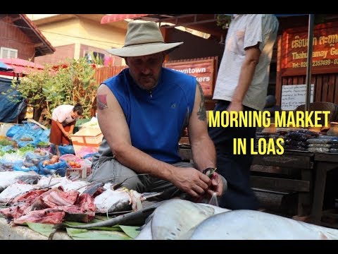 Laos Street Market: Exotic Food Finds
