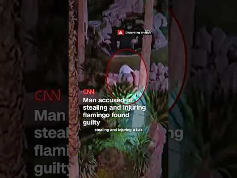 Man accused of stealing and injuring flamingo found guilty