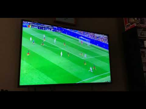 Cameroon v New Zealand