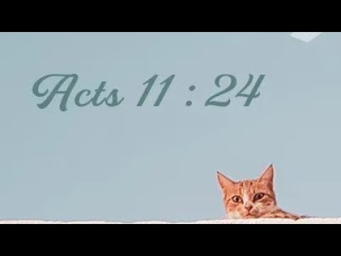 26SPD08 De' Lulu 🍋 v. De' Lala tune 🎵🎶