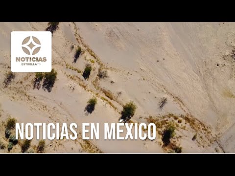 En medio del desierto este hombre logró hacer un oasis
