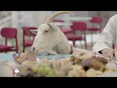 Farm Heroes Super Saga - Darwin the Goat