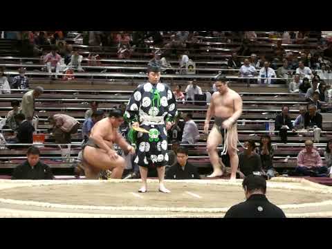 Fukuyama (2-2) - Musashikuni (1-3) , Sumo : Natsubasho '19