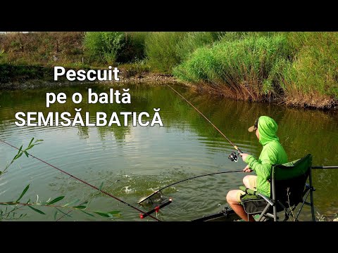 Float and Feeder Fishing on a Gorgeous Pond! Ten, Carp, Carp and Perch 🎣 #fishing 🐟