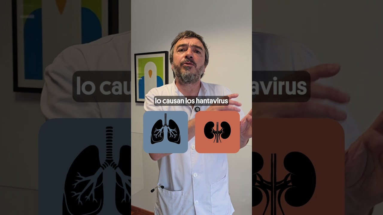 #Shorts | Hantavirus: ¿Qué enfermedades causa?