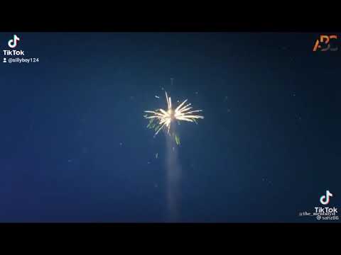 crysto panda - queen (official video)