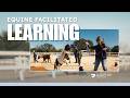 Equine Facilitated Learning Chat With Ms Tammy