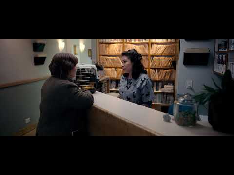 Сможете ли вы меня простить?