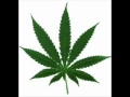 SNOOP DOGG - smoke weed every day remix ...