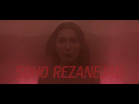 Soho Rezanejad - Shark