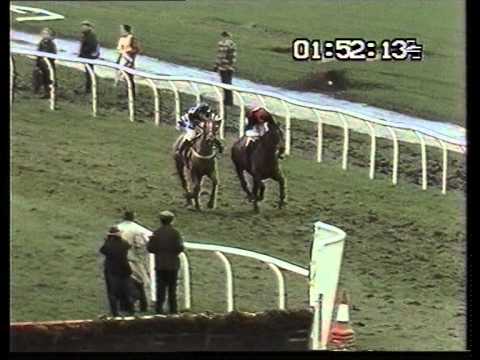 1991 Stretton Novices' Hunters' Chase (Division I)