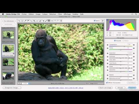 comment traiter plusieurs images photoshop