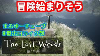【The Lost Woods -迷いの森-】トライフォースはないし冒険も始まらない【実況】