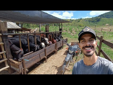 Project 350 liters of milk on 1 hectare of land.