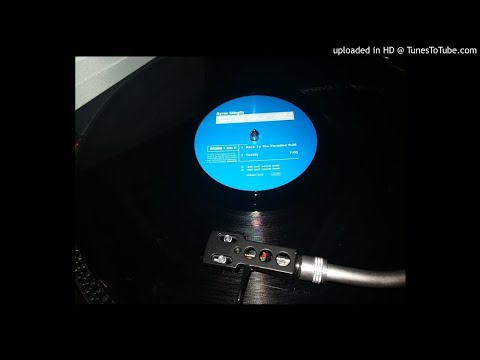 Byron Stingily - The Purist - Back To Paradise / Testify