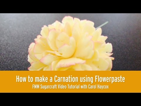 25mm Quick 'n' Easy Carnation icing cutter 25mm Quick 'n' Easy Carnation icing cutter
