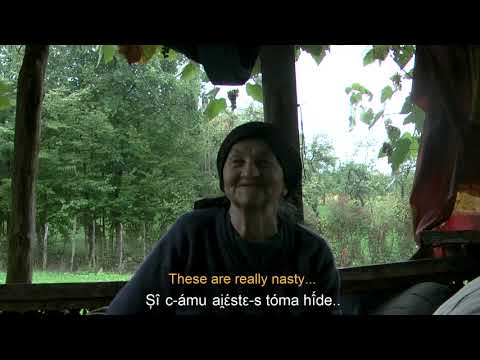 Păcală and Trândală – Țara Oașului – Romanian Collection