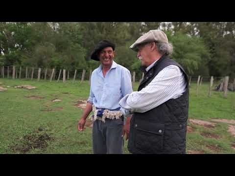 Americando | Programa completo (29/9/24)