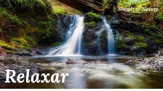 Cachoeira relaxante sons para dormir  Adormecer e ficar dormindo 