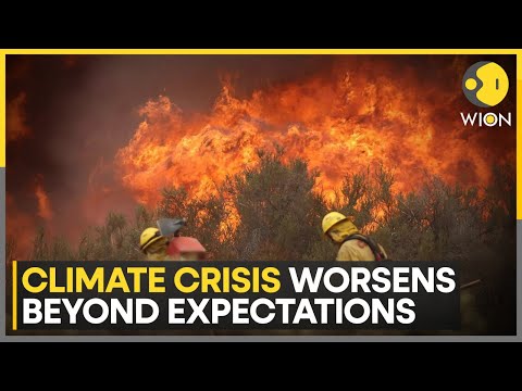 Earth In Danger: Coral Reefs and Climate Systems on the Brink | WION