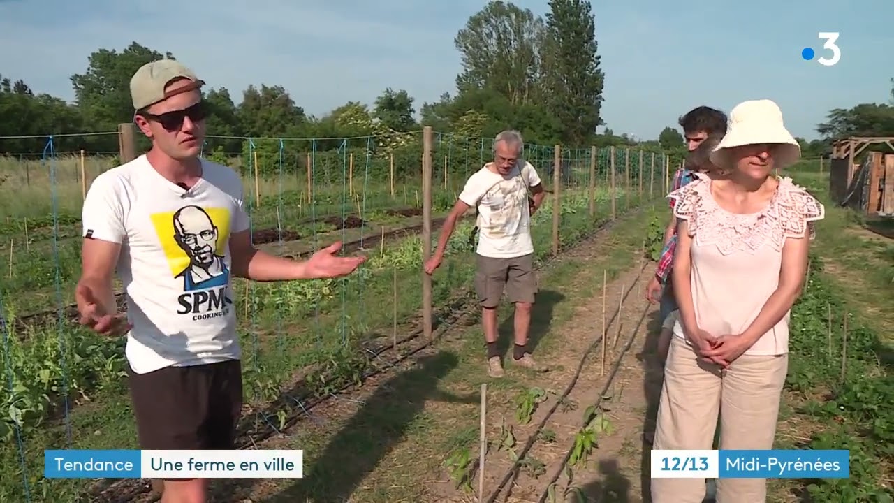 A Toulouse, une ferme urbaine invite les citadins à cultiver leurs légumes
