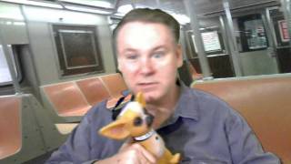 preview picture of video 'Man Licking Dog on New York Subway'