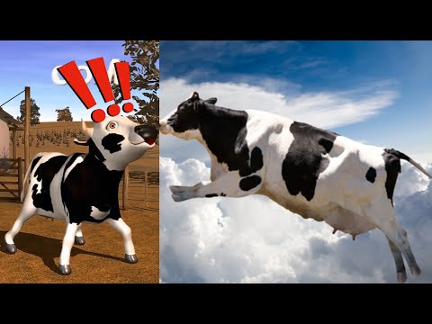 El Pollito Pio baile divertido de la vaca voladora - La Vaca Lola MEME