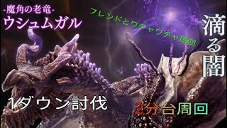 [DDON]ほのぼのドグマの日常  ウシュムガル2分討伐！！フレンドとワチャワチャ周回ww