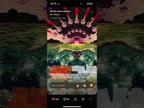 Mr. Wilson words mean nothing