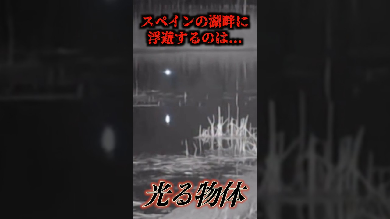 トレイルカメラが捉えた光を放つUMA…#uma #未確認生物 #未確認生命体