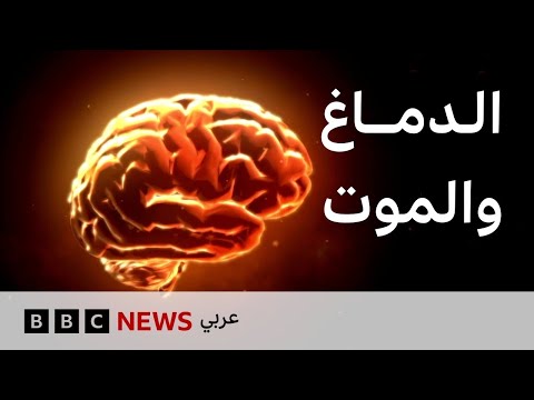 فيديو | ماذا يحدث في أدمغتنا عندما نموت؟