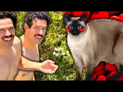 Merv the Cat LOVES Her BOYFRIEND CHARLES 😻😻😽