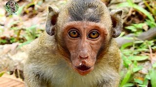 Thank for camera man pity baby Jessie look poor | Why baby Jesse wondering like this? |