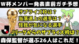 【W杯メンバー予想】日本代表26人をガチ考察！Jリーグからのサプライズ選出はあるか？【作業用】