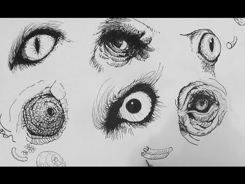 Learn Pen Ink Drawing Tutorials | How to draw realistic animal eyes - Mind  Luster