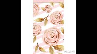 Colbie Caillat /Live it up