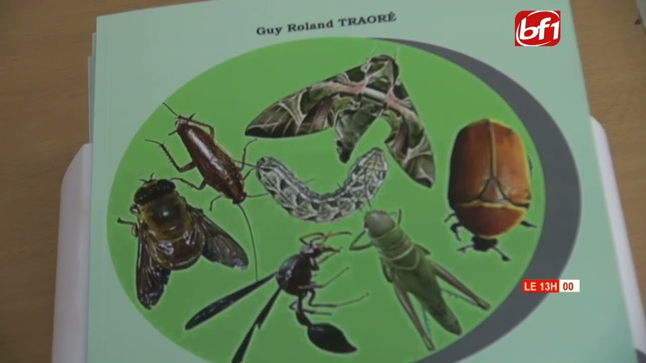 Photographie : Guy Roland Traoré met les insectes en lumière dans un ouvrage