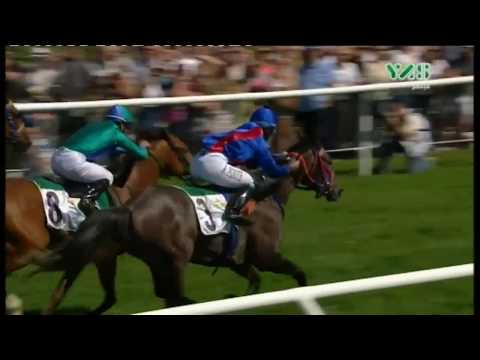 Sheikh Zayed Bin Sultan Al Nahyan Cup - Stockholm, Sweden - 06 June 2017