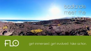 014 - Badlands Meet the Ocean