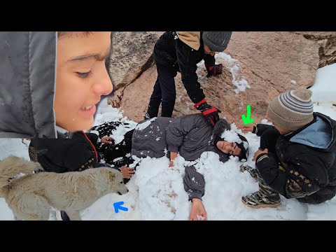 ❄️ Si no fuera por la perra, ¿habría sobrevivido? | Un rescate de último momento