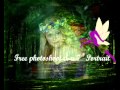 Fairies And Elves Photos